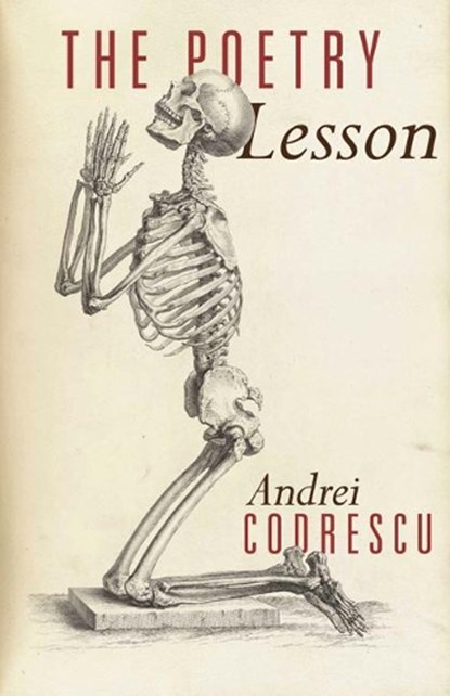 The Poetry Lesson, Andrei Codrescu - Paperback - 9780691178059