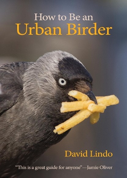 How to Be an Urban Birder, David Lindo - Paperback - 9780691179629