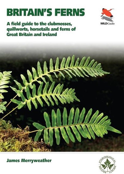 Ferns, James Merryweather - Paperback - 9780691180397