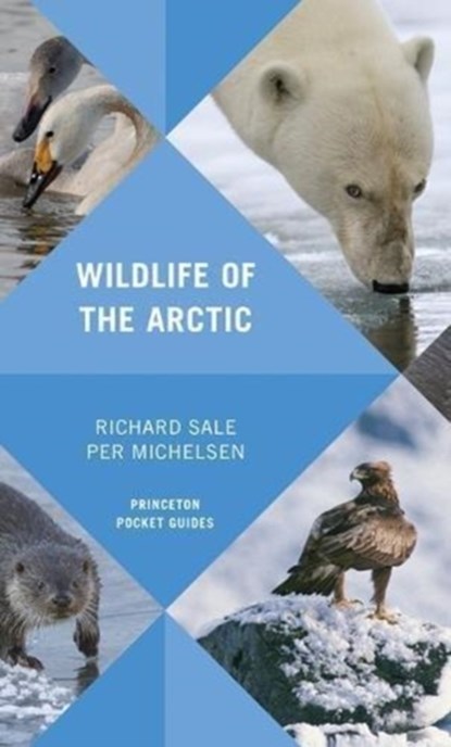Wildlife of the Arctic, Richard Sale ; Per Michelsen - Paperback - 9780691180540