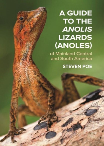 A Guide to the Anolis Lizards (Anoles) of Mainland Central and South America, Steven Poe - Paperback - 9780691192871