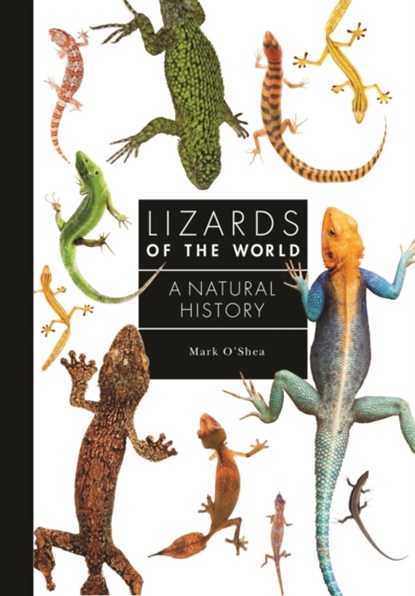 Lizards of the World, Mark O'Shea - Gebonden - 9780691198699