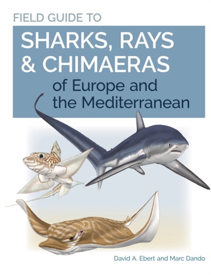 Field Guide to Sharks, Rays & Chimaeras of Europe and the Mediterranean, Dr. David A. Ebert ; Marc Dando - Paperback - 9780691205984