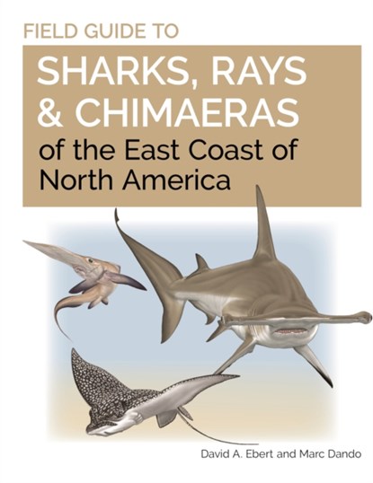 Field Guide to Sharks, Rays and Chimaeras of the East Coast of North America, Dr. David A. Ebert ; Marc Dando - Paperback - 9780691206387