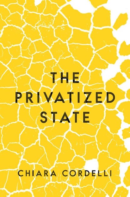 The Privatized State, Chiara Cordelli - Paperback - 9780691211725