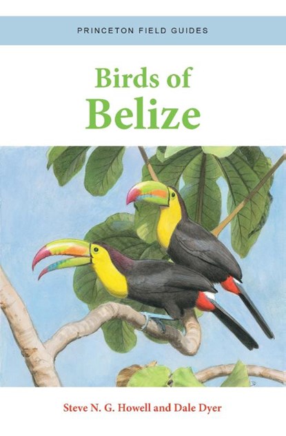 Birds of Belize, Steve N. G. Howell ; Dale Dyer - Paperback - 9780691220727
