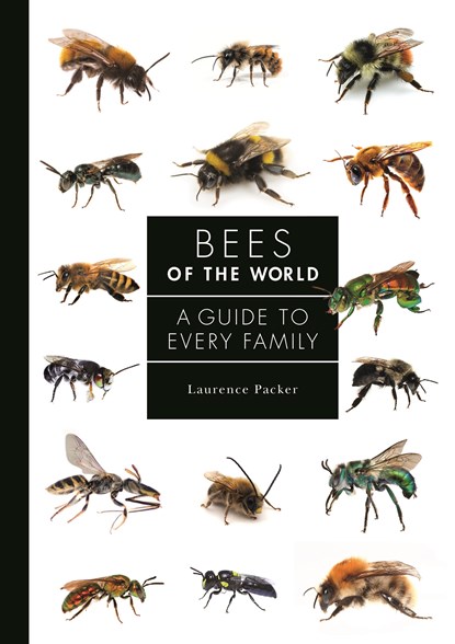 Bees of the World, Laurence Packer - Gebonden - 9780691226620