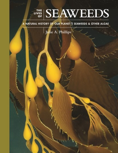 The Lives of Seaweeds, Julie A. Phillips - Gebonden - 9780691228556