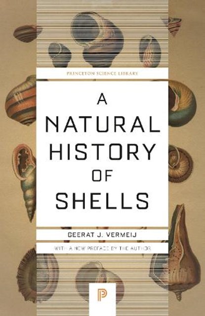 A Natural History of Shells, Geerat Vermeij - Paperback - 9780691229249
