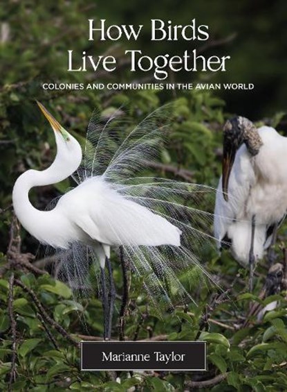 How Birds Live Together, Marianne Taylor - Gebonden - 9780691231907