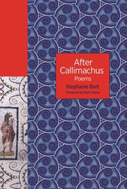After Callimachus, Stephanie Burt - Paperback - 9780691234519