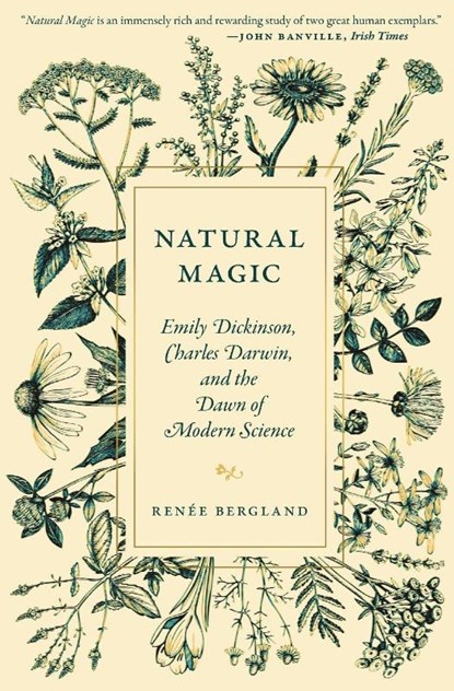 Natural Magic, Renee Bergland - Paperback - 9780691235301