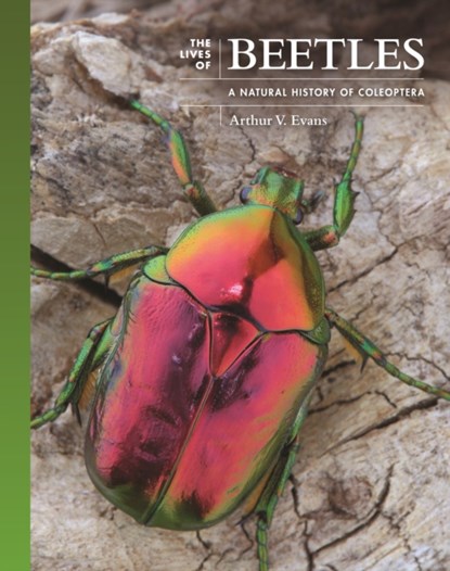 The Lives of Beetles, Arthur V. Evans - Gebonden - 9780691236513