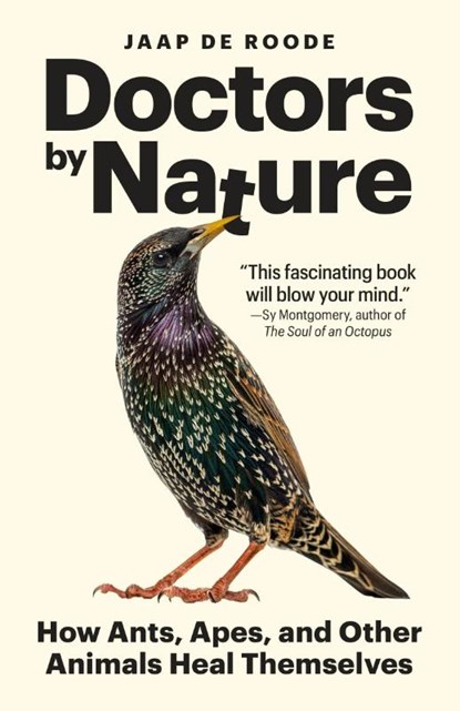 Doctors by Nature, Jaap de Roode - Paperback - 9780691239354