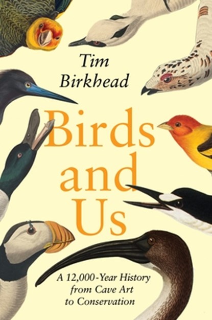 BIRDS & US, Tim Birkhead - Gebonden - 9780691239927