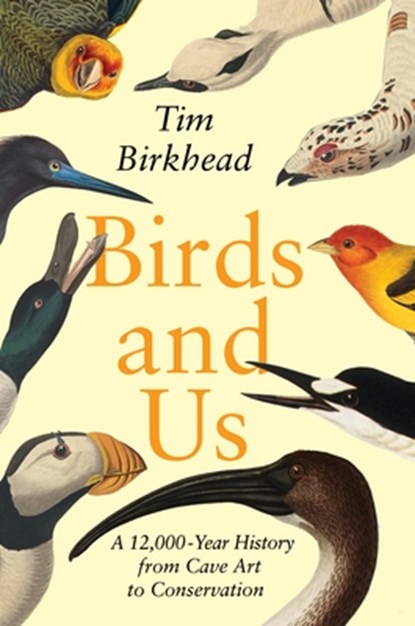 Birkhead, T: Birds and Us, Tim Birkhead - Gebonden - 9780691239927