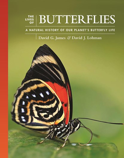 The Lives of Butterflies, David G. James ; Dr David J. (Associate Professor) Lohman - Gebonden - 9780691240565