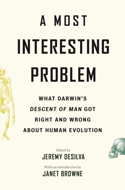 A Most Interesting Problem, Jeremy DeSilva - Paperback - 9780691242064