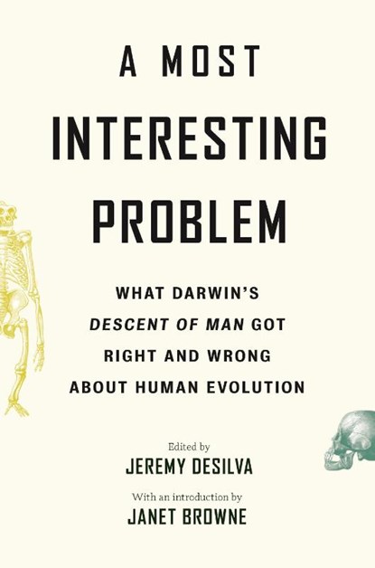 A Most Interesting Problem, Jeremy DeSilva - Paperback - 9780691242064