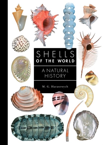 Shells of the World, M. G. Harasewych - Gebonden - 9780691248271