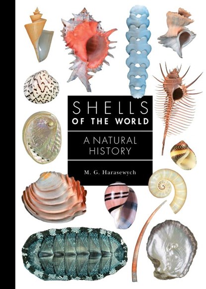 Shells of the World, M. G. Harasewych - Gebonden - 9780691248271