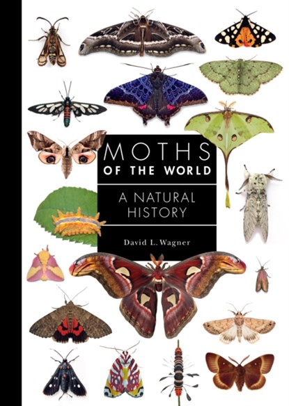 Moths of the World, David L. Wagner - Gebonden - 9780691248288