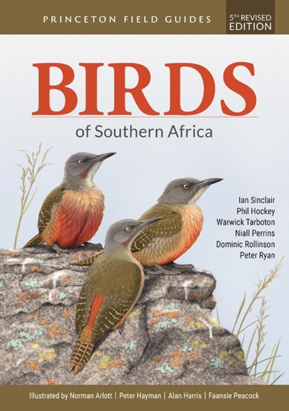 Sinclair, I: Birds of Southern Africa, Ian Sinclair ; Phil Hockey ; Warwick Tarboton ; Niall Perrins - Paperback - 9780691248493