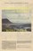 Island Zombie, Roni Horn - Paperback - 9780691248622