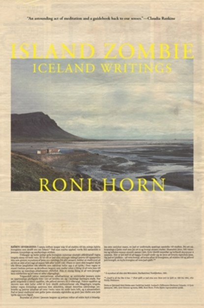 Island Zombie, Roni Horn - Paperback - 9780691248622