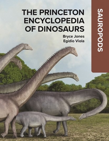 The Princeton Encyclopedia of Dinosaurs: Sauropods, Bryce Jones - Gebonden - 9780691250236