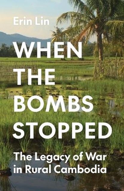 When the Bombs Stopped, Erin Lin - Paperback - 9780691255958