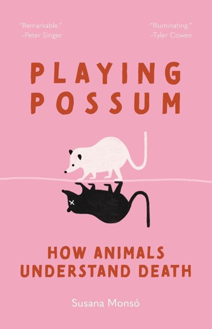 Playing Possum, Susana Monso - Paperback - 9780691260778