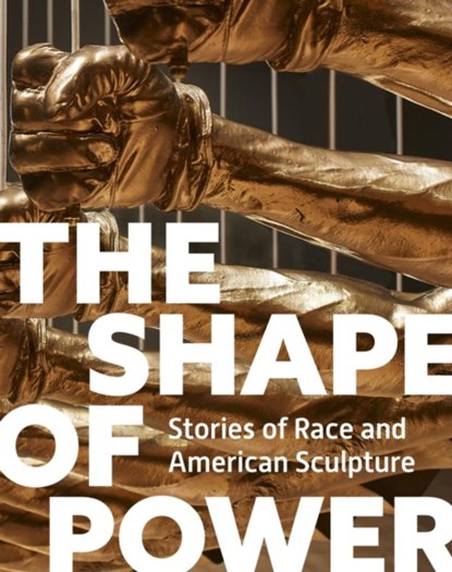 The Shape of Power, Karen Lemmey ; Tobias Wofford ; Grace Yasumura - Gebonden - 9780691261492