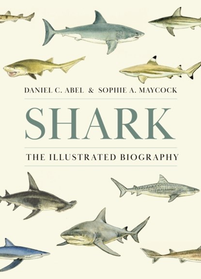 Shark, Daniel Abel ; Sophie A. Maycock - Gebonden - 9780691261676