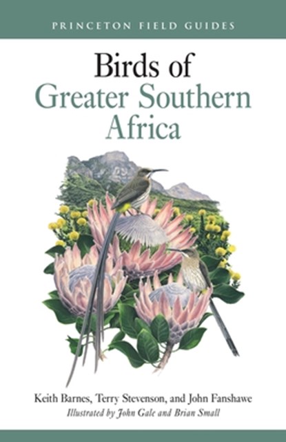 Birds of Greater Southern Africa, Keith Barnes ; Terry Stevenson ; John Fanshawe - Paperback - 9780691263267