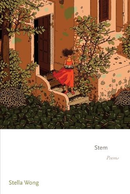 Stem, Stella Wong - Paperback - 9780691264042