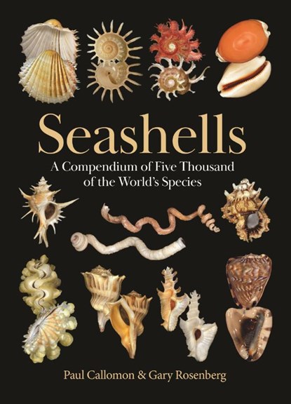 Seashells, Paul Callomon ; Gary Rosenberg - Gebonden - 9780691265285