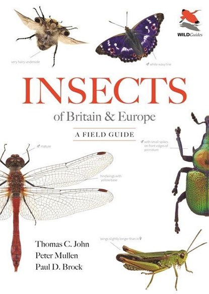 Insects of Britain and Europe, Thomas C. John ; Peter Mullen ; Dr. Paul D. Brock - Paperback - 9780691265766