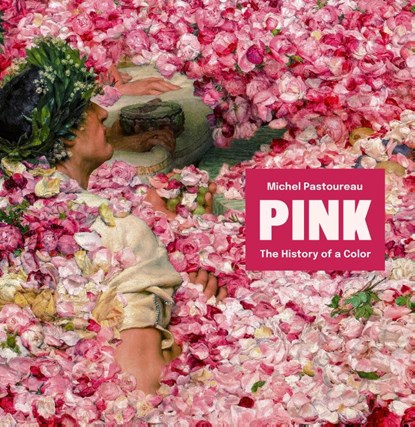 Pink, Michel Pastoureau - Gebonden - 9780691266268