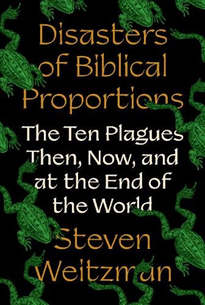 Disasters of Biblical Proportions, Steven Weitzman - Gebonden - 9780691270463