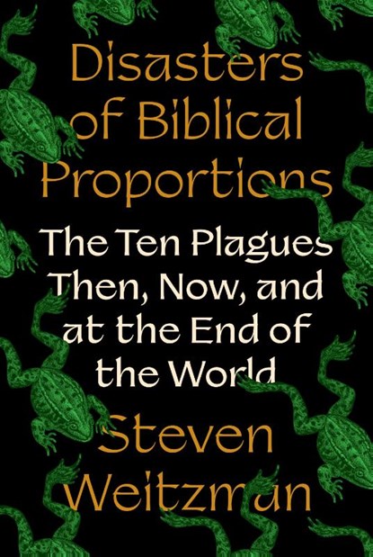 Disasters of Biblical Proportions, Steven Weitzman - Gebonden - 9780691270463