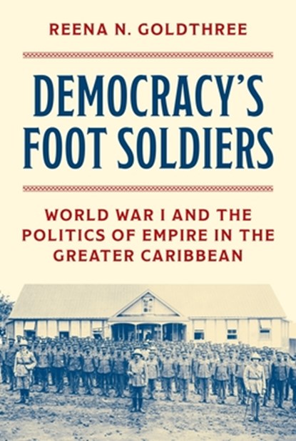 Democracy’s Foot Soldiers, Reena N. Goldthree - Gebonden - 9780691272511