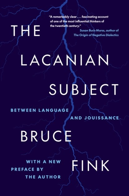 The Lacanian Subject, Bruce Fink - Paperback - 9780691272917