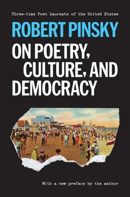 On Poetry, Culture, and Democracy, Robert Pinsky - Paperback - 9780691278254