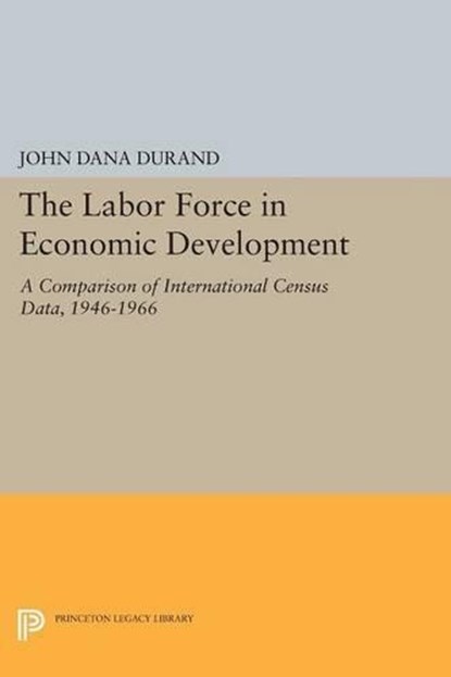 The Labor Force in Economic Development, John Dana Durand - Paperback - 9780691617503
