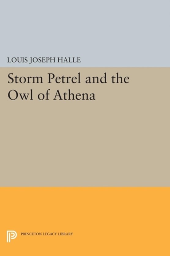 Storm Petrel and the Owl of Athena