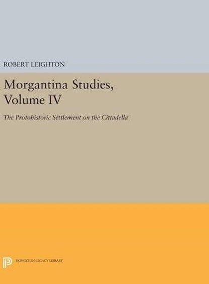 Morgantina Studies, Volume IV, Robert Leighton - Gebonden - 9780691634500
