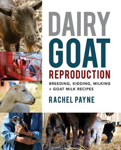 Dairy Goat Reproduction: Breeding, Birthing, and Milking + Goat Milk Recipes, Rachel Payne - Paperback - 9780692039540