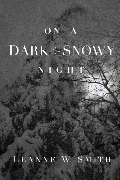 On a Dark & Snowy Night, Leanne W Smith - Paperback - 9780692046975