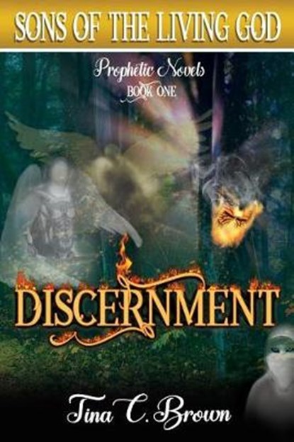 Discernment, Tina C Brown - Paperback - 9780692095980